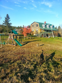20131021_170812.jpeg