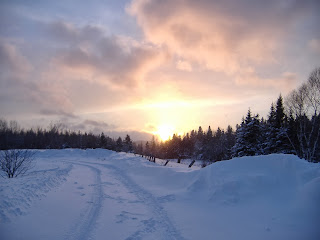 DSCF0652.JPG.jpeg