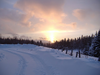 DSCF0654.JPG.jpeg