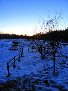 20150108_172630.jpeg