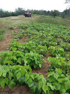 20130731_175951.jpeg