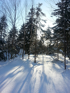 20150302_163451.jpeg