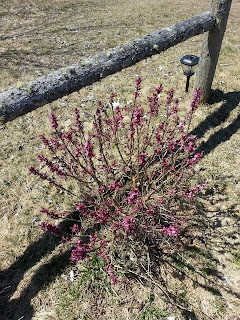 20130427_133905.jpeg