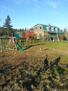 20131021_170812.jpeg