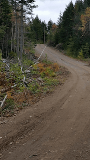 Chapin%2527s%2Bdriveway.png