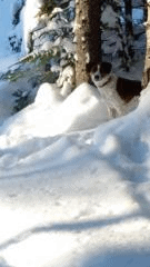 Nell%2Bin%2Bsnow.png
