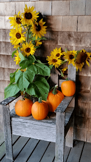cut%2Bsunflowers.png