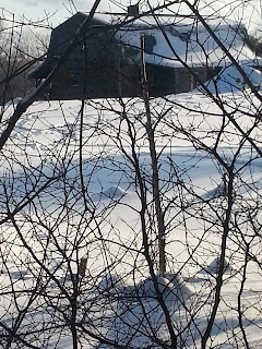 20150302_165707.jpeg
