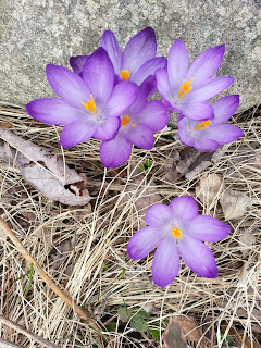 20140426_162500.jpeg