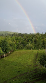 rainbow.jpeg