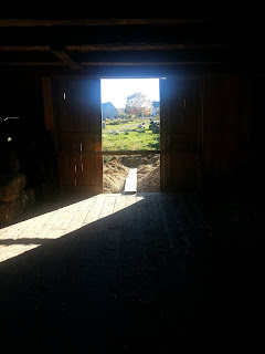 20141013_164253.jpeg