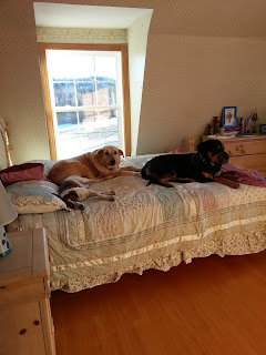 20130121_154544.jpeg