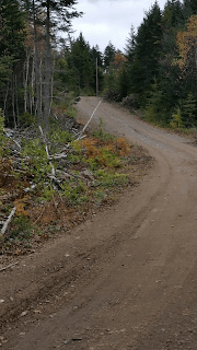 Chapin%2527s%2Bdriveway.png