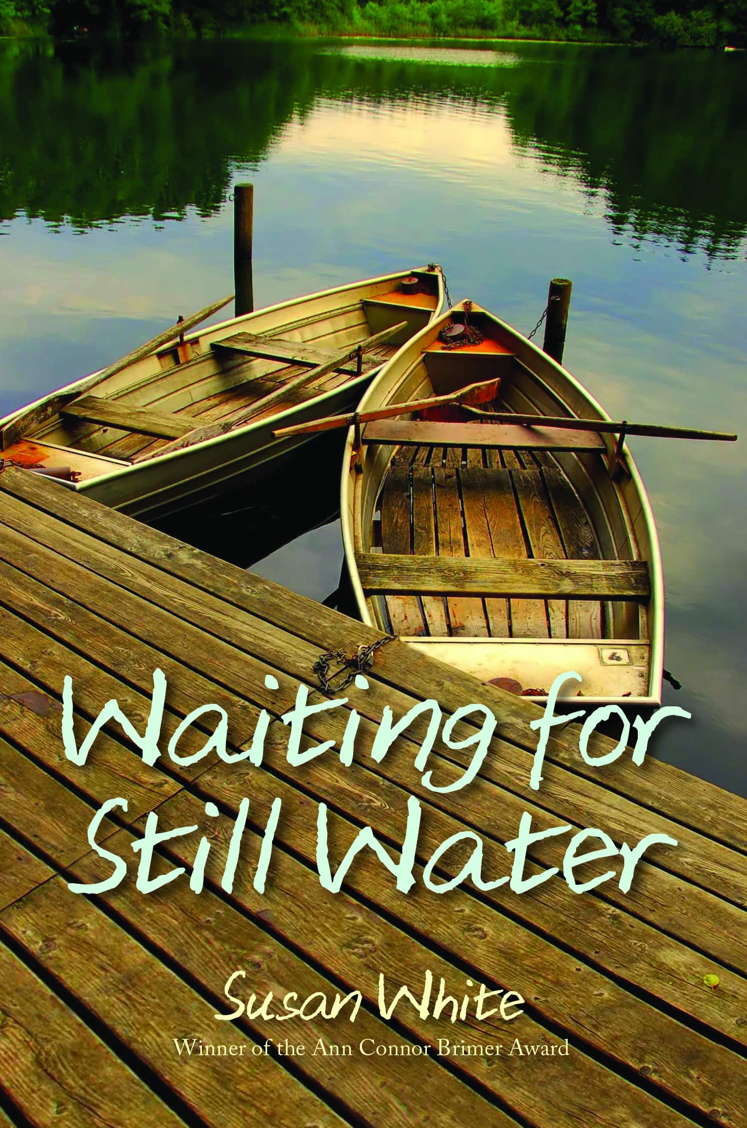 Waiting for Still Water book cover